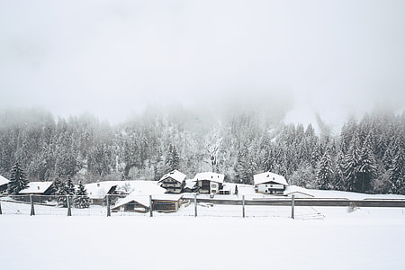 grayscale photo of house covered by snows thumbnail