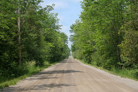 empty brown road between green trees under blue sky and white clouds at daytime thumbnail