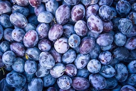 blueberry fruits close-up photo thumbnail