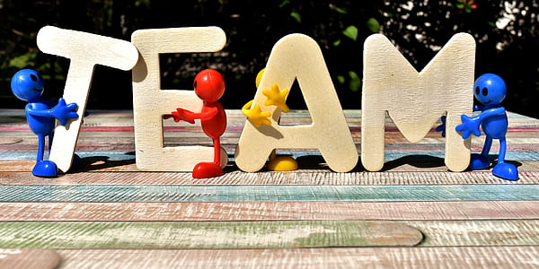 brown team free standing letter during daytime thumbnail