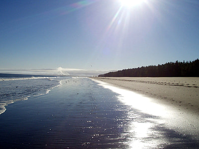 landscape photography of seashore during daytime thumbnail