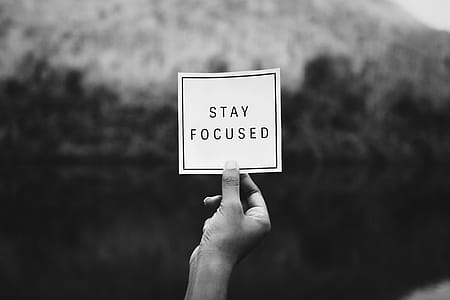 Person Holding Stay Focuseds Paper thumbnail
