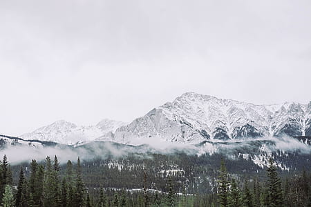 white mountain thumbnail