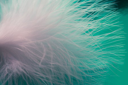 white fur textile thumbnail