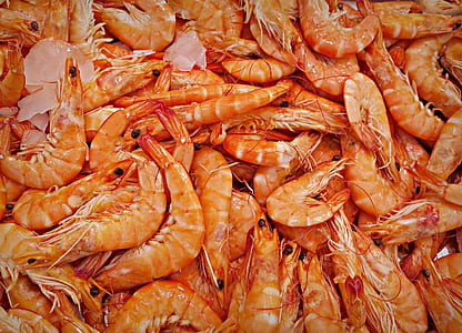 bunch of shrimp thumbnail