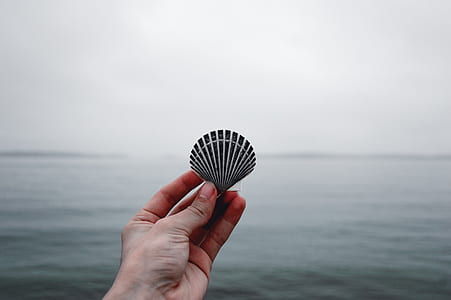 person holding clamshell thumbnail