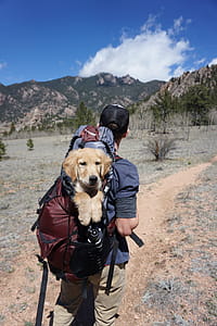 Man With Blue and Maroon Camping Bag thumbnail