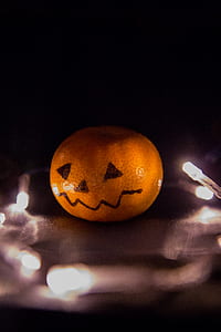 food, art, lights, dark thumbnail