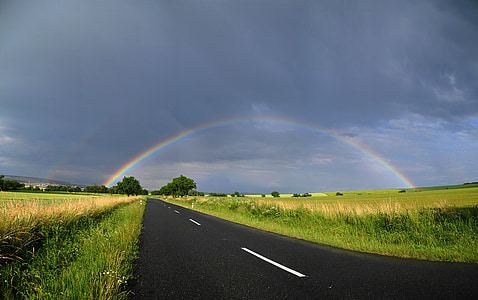 rainbow on green field during daytime thumbnail