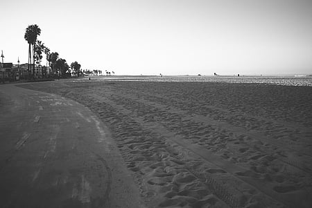 grayscale photography of seashore near roadway thumbnail