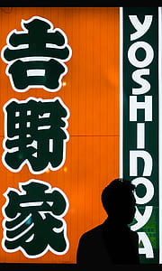 Yoshinoya digital wallpaper thumbnail