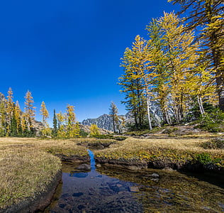calm stream in between trees under clear blue sky thumbnail