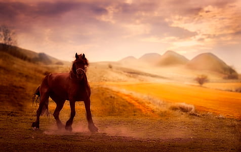 painting of brown horse thumbnail