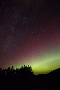 silhouette of trees under starry night thumbnail