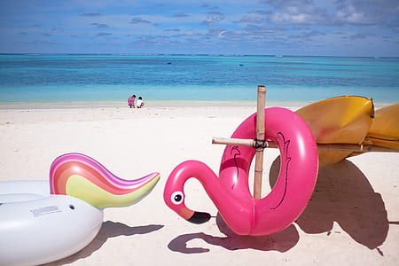 two assorted-color floater near seashore during daytime thumbnail