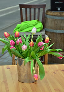 red and pink flowering plants on table thumbnail