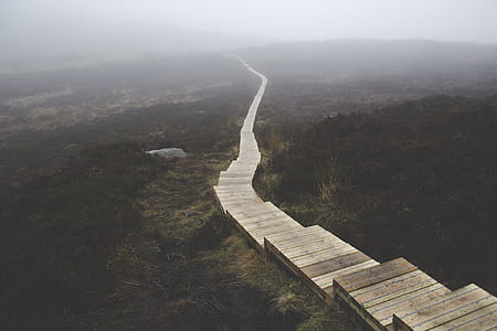Brown Wooden Stairs on Body of Mountain thumbnail