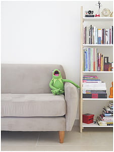 Kermit the Frog plush toy on sofa beside bookshelf thumbnail
