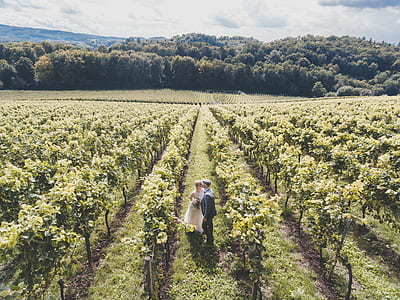 newly wed couple standing on green field at daytime thumbnail