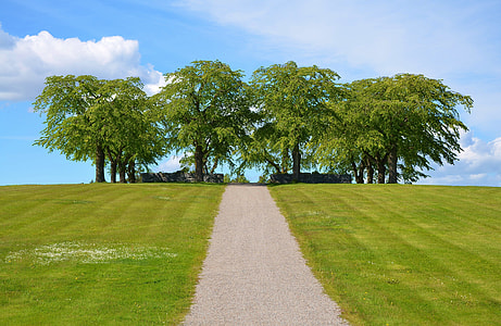 Pathway to some trees thumbnail