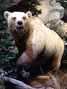 grizzly bear statue thumbnail
