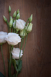 close up photography of white roses thumbnail