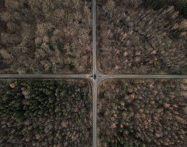 aerial view, drone, from above, road thumbnail