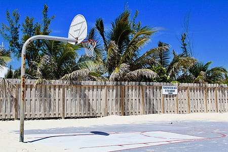 gray basketball system near coconut tree thumbnail