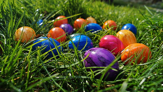 assorted-color eggs on grass thumbnail