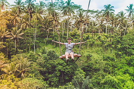 person on swing near green trees thumbnail