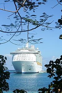 white cruise ship on body of water thumbnail