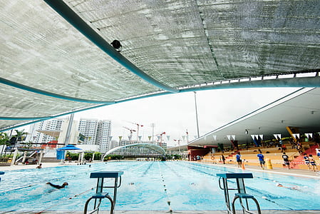 people swing in pool near inside stadium thumbnail