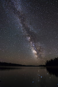 trees beside the body of water under the starry skies reflected on water thumbnail