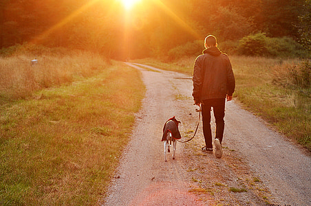 man in black jacket holding dog leash walking through grass field thumbnail