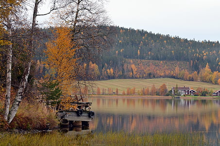 white boat at body of water thumbnail