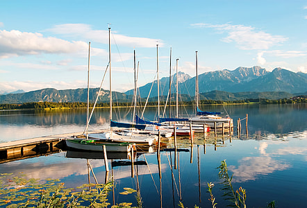 five white sailboats on body of water during daytime thumbnail
