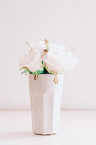 Photo of White Flowers in White Cup thumbnail