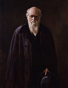bearded man wearing blue coat thumbnail