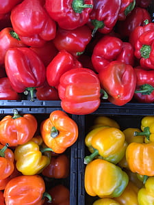 ripe tomatoes thumbnail