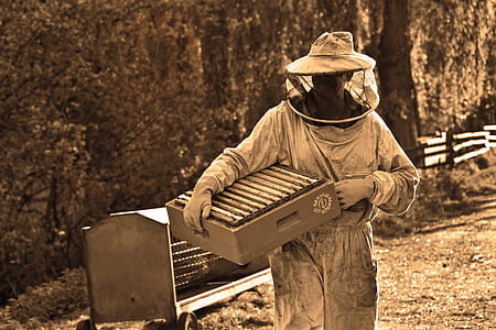 grayscale photography of person holding bee cabinet thumbnail