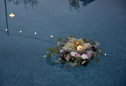 yellow petaled flower on body of water thumbnail