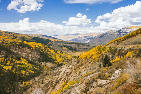 road between hill with yellow and green trees thumbnail
