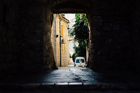 gray van near green tree thumbnail