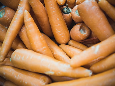 bunch of carrots thumbnail