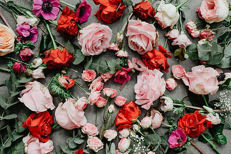 Flowers flat lay thumbnail