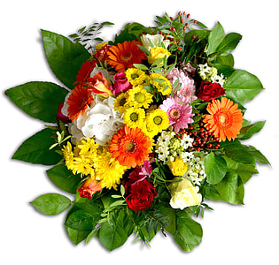 yellow, orange and red petaled flower arrangement thumbnail