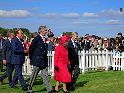 group of person walking on the grass field thumbnail