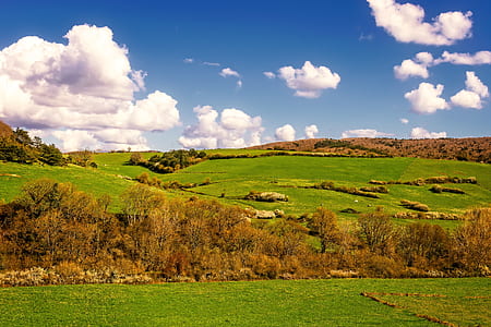 landscape photograph of steppe thumbnail