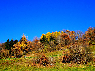 Autumn Landscape, Blue Sky thumbnail