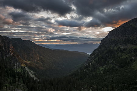 tree covered valley during golden hour thumbnail